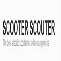 Портфолио scooter scouter